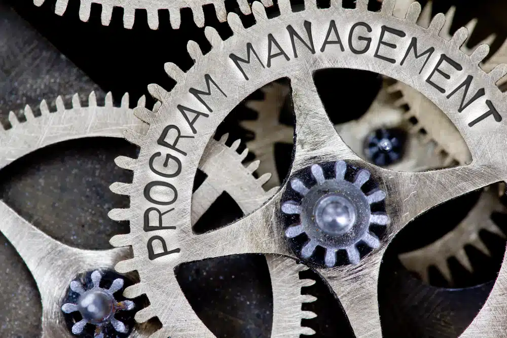 Mastering Program Management