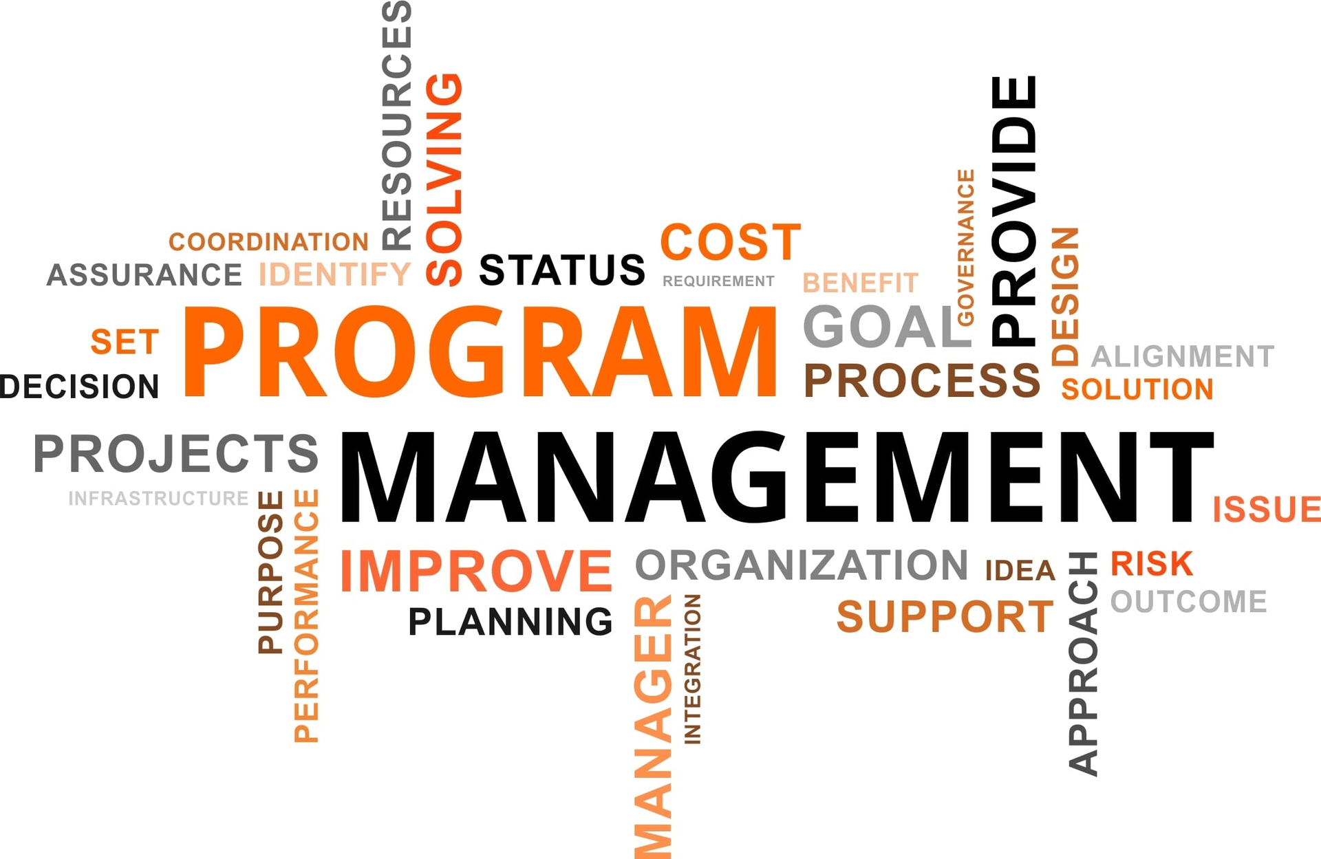 Program manager requirements
