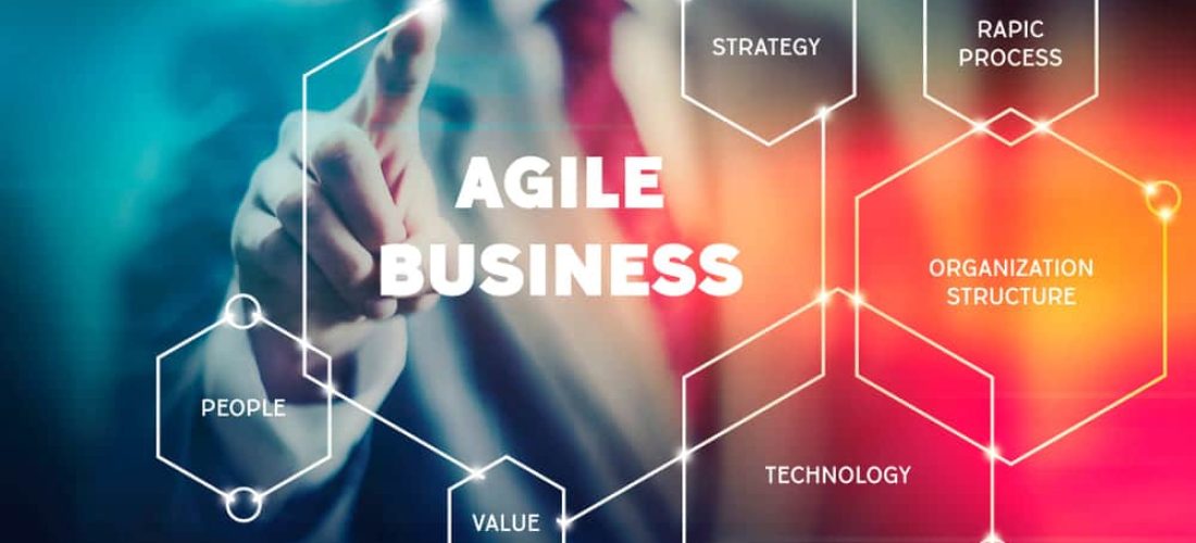 Business Agility Definition